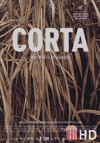 Рубка / Corta