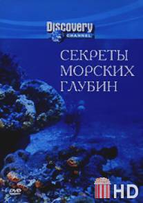 Секреты морских глубин