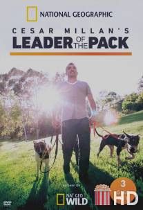 Сесар Миллан: Вожак стаи / Cesar Millan's Leader of the Pack