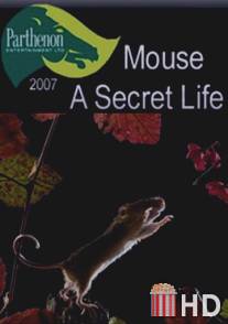 Тайная жизнь мышей / Mouse: A Secret Life