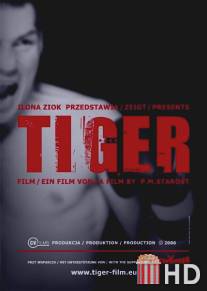 Тигр / Tiger