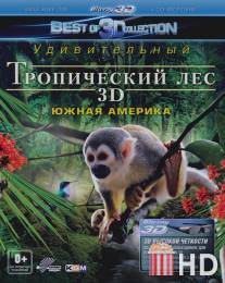 Тропический лес 3D / Rainforest 3D