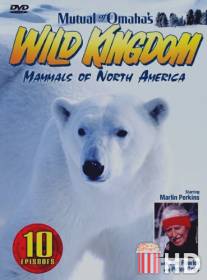 Царство животных / Mutual of Omaha's Wild Kingdom