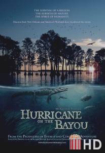 Ураган на Байу / Hurricane on the Bayou