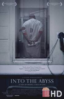 В бездну: Повесть о жизни, повесть о смерти / Into the Abyss