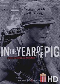 В год свиньи / In the Year of the Pig