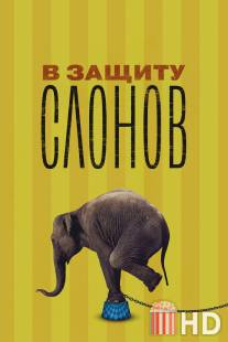 В защиту слонов / An Apology to Elephants