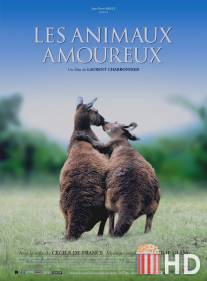 Влюбленные животные / Les animaux amoureux