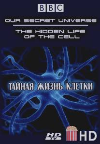 Внутренняя вселенная: Тайная жизнь клетки / Our Secret Universe: The Hidden Life of the Cell