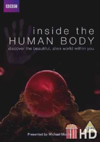 Внутри человеческого тела / Inside the Human Body