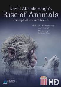 Восстание животных: Триумф позвоночных / Rise of Animals: Triumph of the Vertebrates