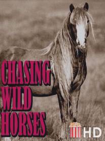 Вслед за дикими лошадьми / Chasing Wild Horses