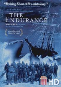 Выносливость: Легендарная антарктическая экспедиция Шеклтона / Endurance: Shackleton's Legendary Antarctic Expedition, The