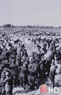 Забастовки рабочих-сталелитейщиков / Republic Steel Strike Riots Newsreel Footage