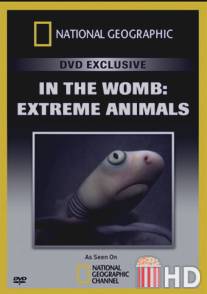 Жизнь до рождения: Экстремальные животные / In the Womb: Extreme Animals