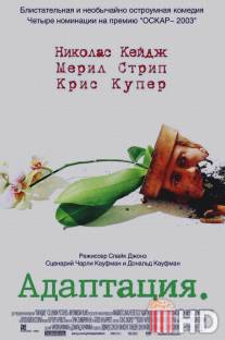 Адаптация / Adaptation.