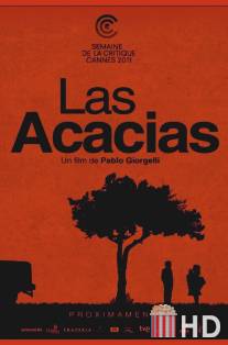 Акации / Las acacias