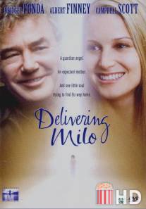 Ангел-хранитель / Delivering Milo