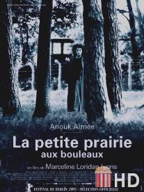 Березовый луг / La petite prairie aux bouleaux