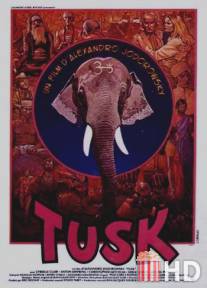 Бивень / Tusk