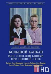 Большой капкан или соло для кошки при полной луне / Bolshoy kapkan, ili solo dlya koshki pri polnoy lune