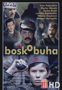 Бошко Буха / Bosko Buha