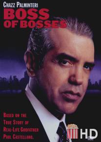 Босс всех боссов / Boss of Bosses