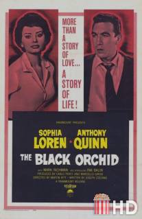 Черная орхидея / Black Orchid, The
