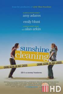 Чистка до блеска / Sunshine Cleaning