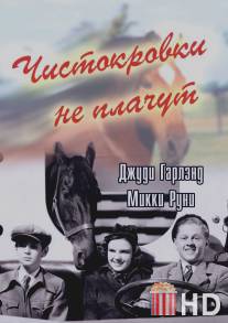 Чистокровки не плачут / Thoroughbreds Don't Cry