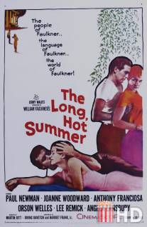 Долгое жаркое лето / Long, Hot Summer, The