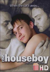 Домашний мальчик / Houseboy, The