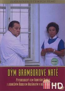 Дым картофельной ботвы / Dym bramborove nate