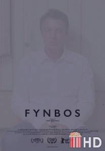 Финбос / Fynbos