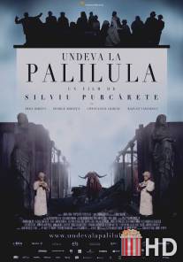 Где-то в Палилула / Undeva la Palilula