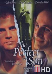 Идеальный сын / Perfect Son, The