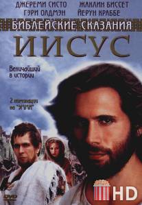 Иисус. Бог и человек / Jesus