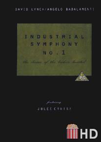 Индустриальная симфония №1: Сон девушки с разбитым сердцем / Industrial Symphony No. 1: The Dream of the Broken Hearted