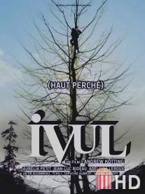 Ивуль / Ivul