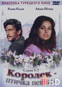 Королёк - птичка певчая / Calikusu