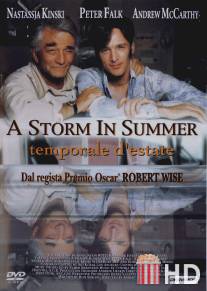 Летний шторм / A Storm in Summer