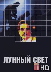 Лунный свет / Moonlighting