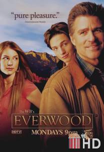 Любовь вдовца / Everwood