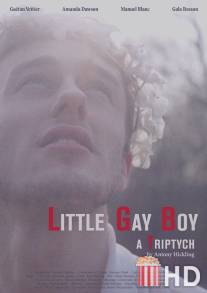 Маленький мальчик-гей / Little Gay Boy