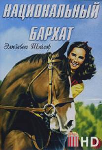 Национальный бархат / National Velvet