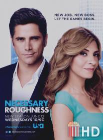 Необходимая жестокость / Necessary Roughness