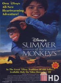 Неприятности с обезьянками / Summer of the Monkeys