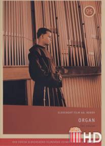 Орган / Organ