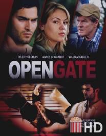 Открытые ворота / Open Gate