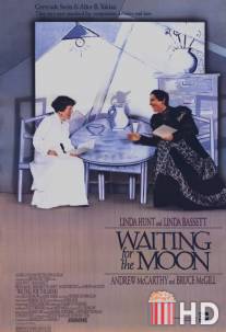Ожидая Луну / Waiting for the Moon